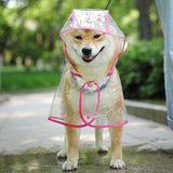 Transparent Raincoat For Dog