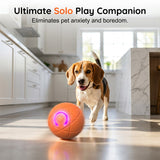 Interactive Pet Ball Toy for Cats & Dogs – Automatic & Remote-Controlled
