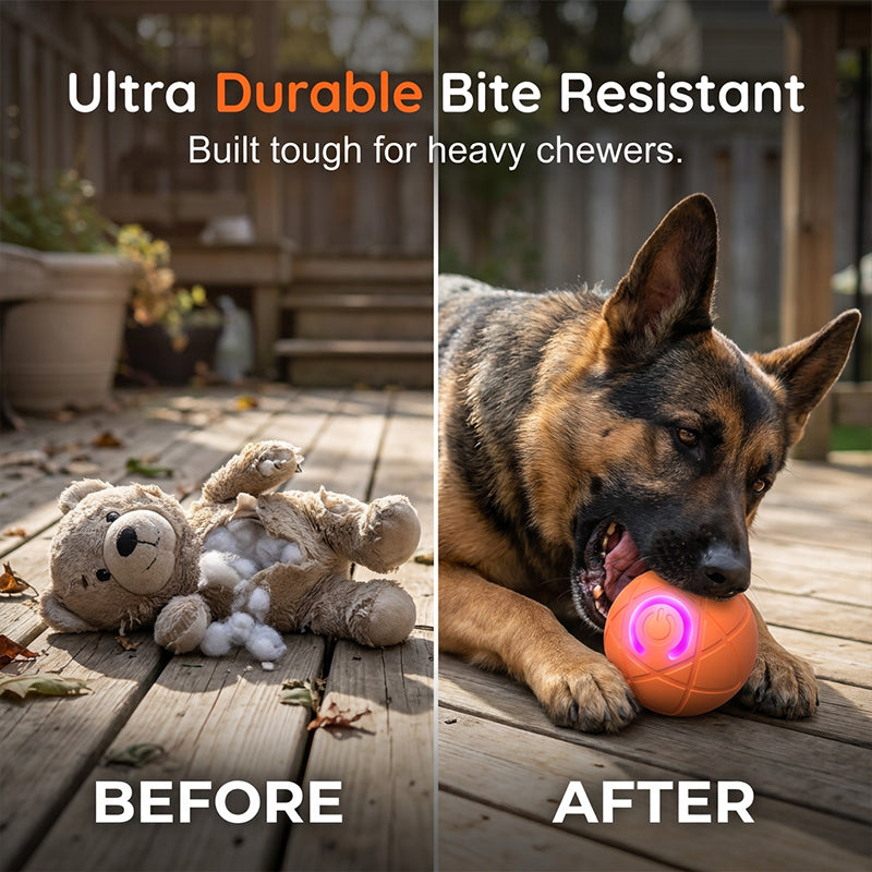 Interactive Pet Ball Toy for Cats & Dogs – Automatic & Remote-Controlled